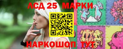 индика Кингисепп