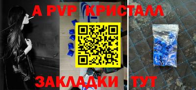 индика Кингисепп
