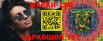 индика Кингисепп
