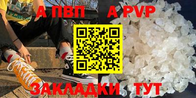индика Кингисепп