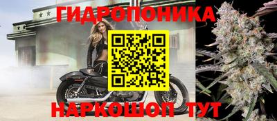 крисы Кимры