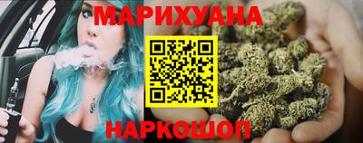 индика Кингисепп
