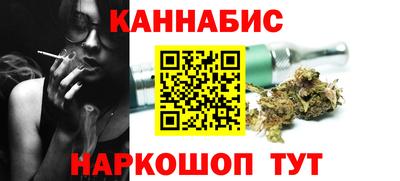 индика Кингисепп