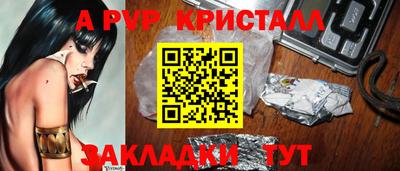 индика Кингисепп