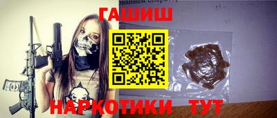 индика Кингисепп